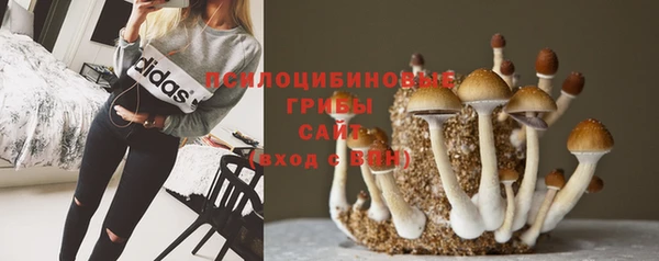 каннабис Медногорск