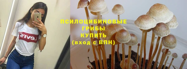 мет Медвежьегорск