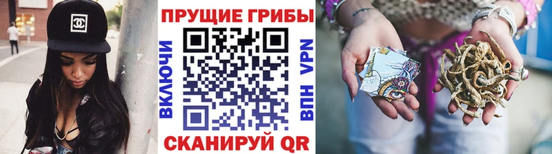 Псилоцибиновые грибы Cubensis Купить закладки Заречный